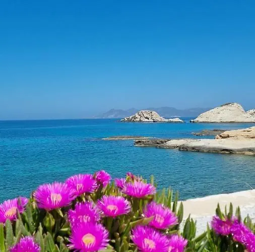 Anassa Milos House