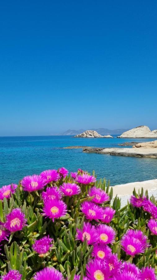 Anassa Milos House *